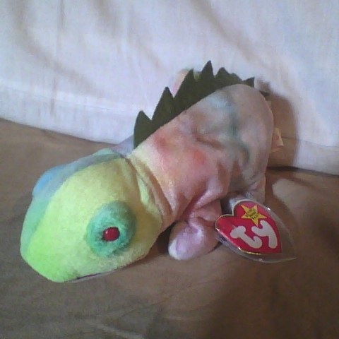 ecco the dolphin beanie baby