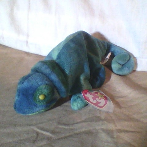 ecco the dolphin beanie baby